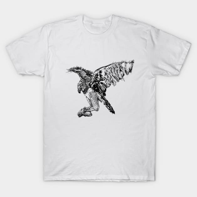 Harpy Eagle Ink Drawing T-Shirt by Fireside Press